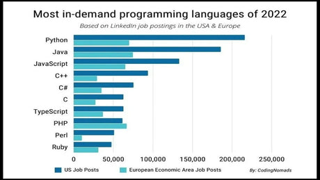 Los lenguajes de programación que más se demandan